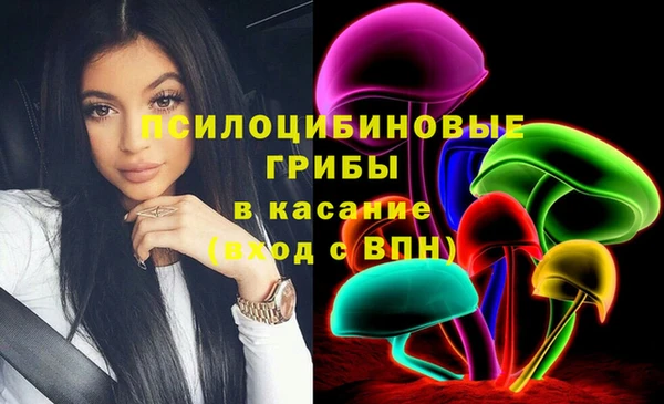 гидропоника Белоозёрский